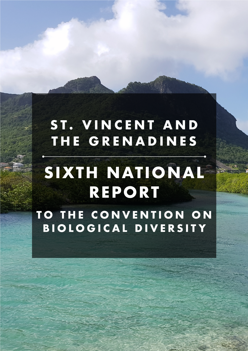 Saint Vincent and the Grenadines: the Saint Vincent and the Grenadines Conservation Fund (SVGCF)