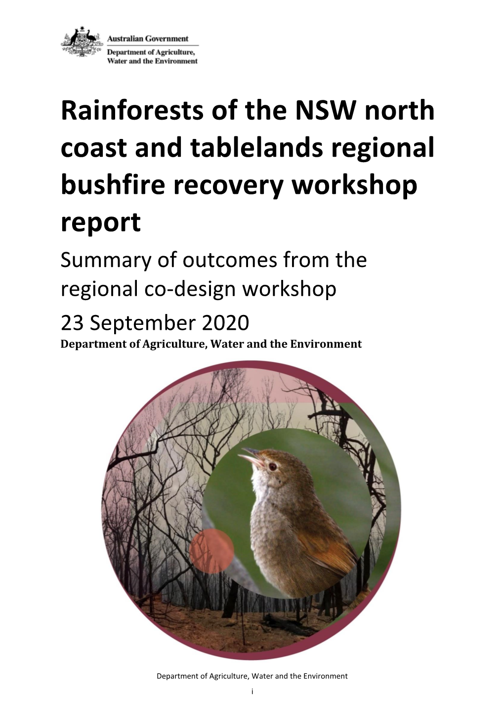 Regional Bushfire Recovery Workshop Report