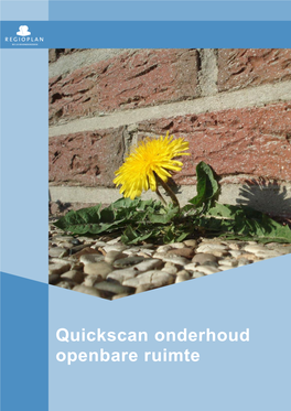 Quickscan Onderhoud Openbare Ruimte