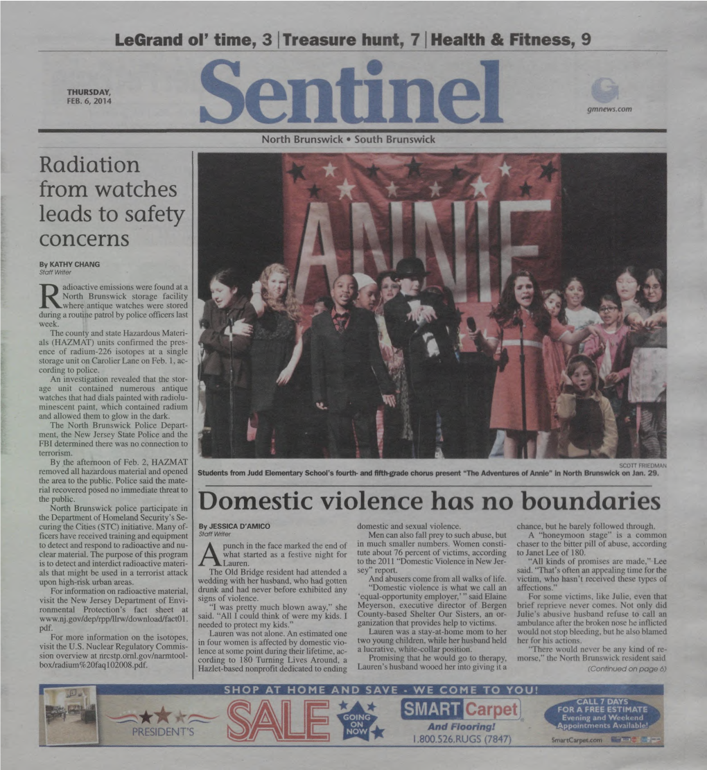 Domestic Violence Has No Boundaries the Department of Homeland Security’S Se­ Curing the Cities (STC) Initiative