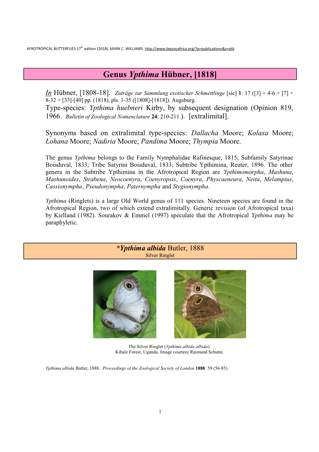 148 Genus Ypthima Huebner