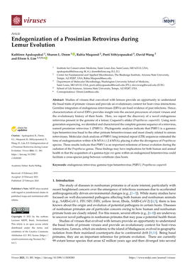 Endogenization of a Prosimian Retrovirus During Lemur Evolution