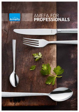 Amefa for Professionals a About About Amef