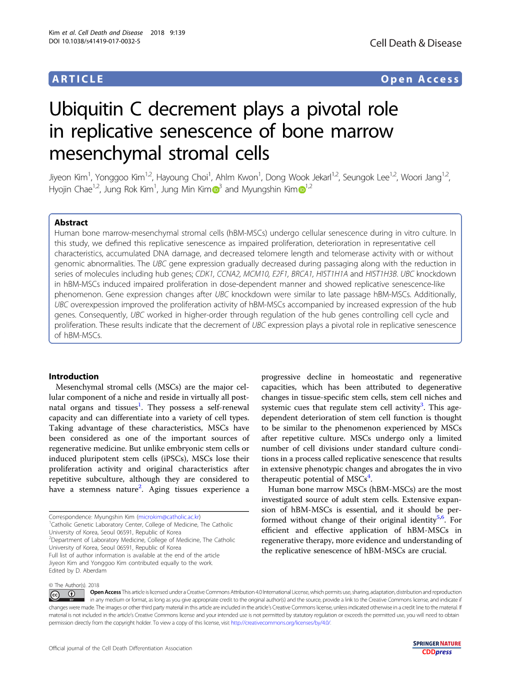 Ubiquitin C Decrement Plays a Pivotal Role in Replicative Senescence of Bone Marrow Mesenchymal Stromal Cells