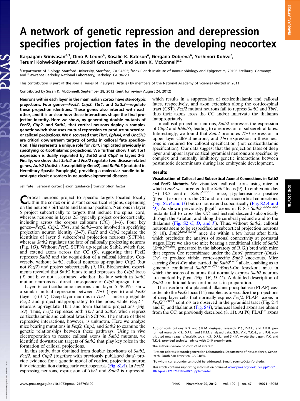 A Network of Genetic Repression and Derepression Specifies Projection