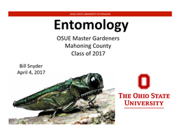 Entomology Part A