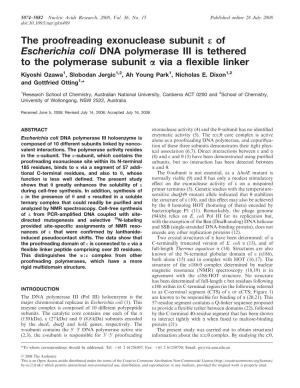 The Proofreading Exonuclease Subunit E of Escherichia Coli DNA