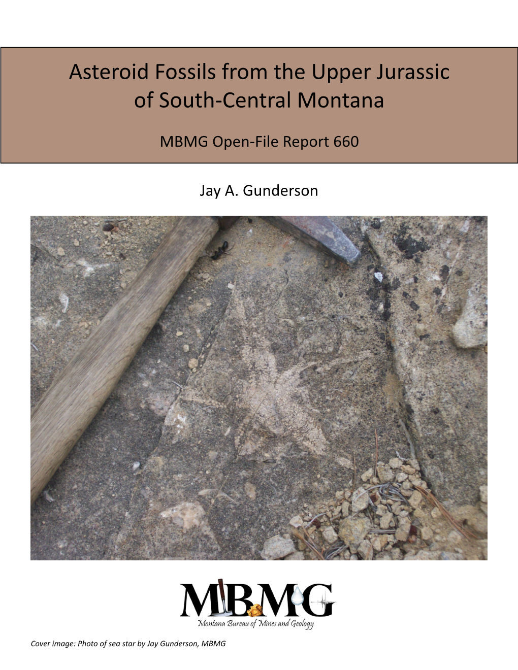 Asteroid Fossils from the Upper Jurassic of South-Central Montana