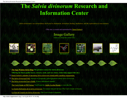Salvia Divinorum Research and Information Center the Salvia Divinorum Research and Information Center