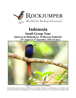 Indonesia Small Group Tour Sulawesi & Halmahera: Wallacean Endemics 20Th August to 4Th September 2020 (16 Days)