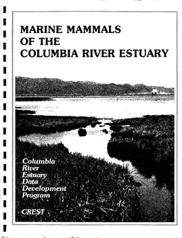 Marine Mammals of the Icolumbia River Estuary