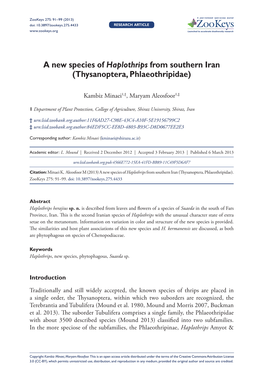 A New Species of Haplothripsfrom Southern Iran (Thysanoptera, Phlaeothripidae)