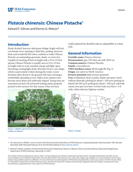 Pistacia Chinensis: Chinese Pistache1 Edward F