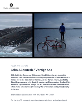 John Akomfrah / Vertigo Sea