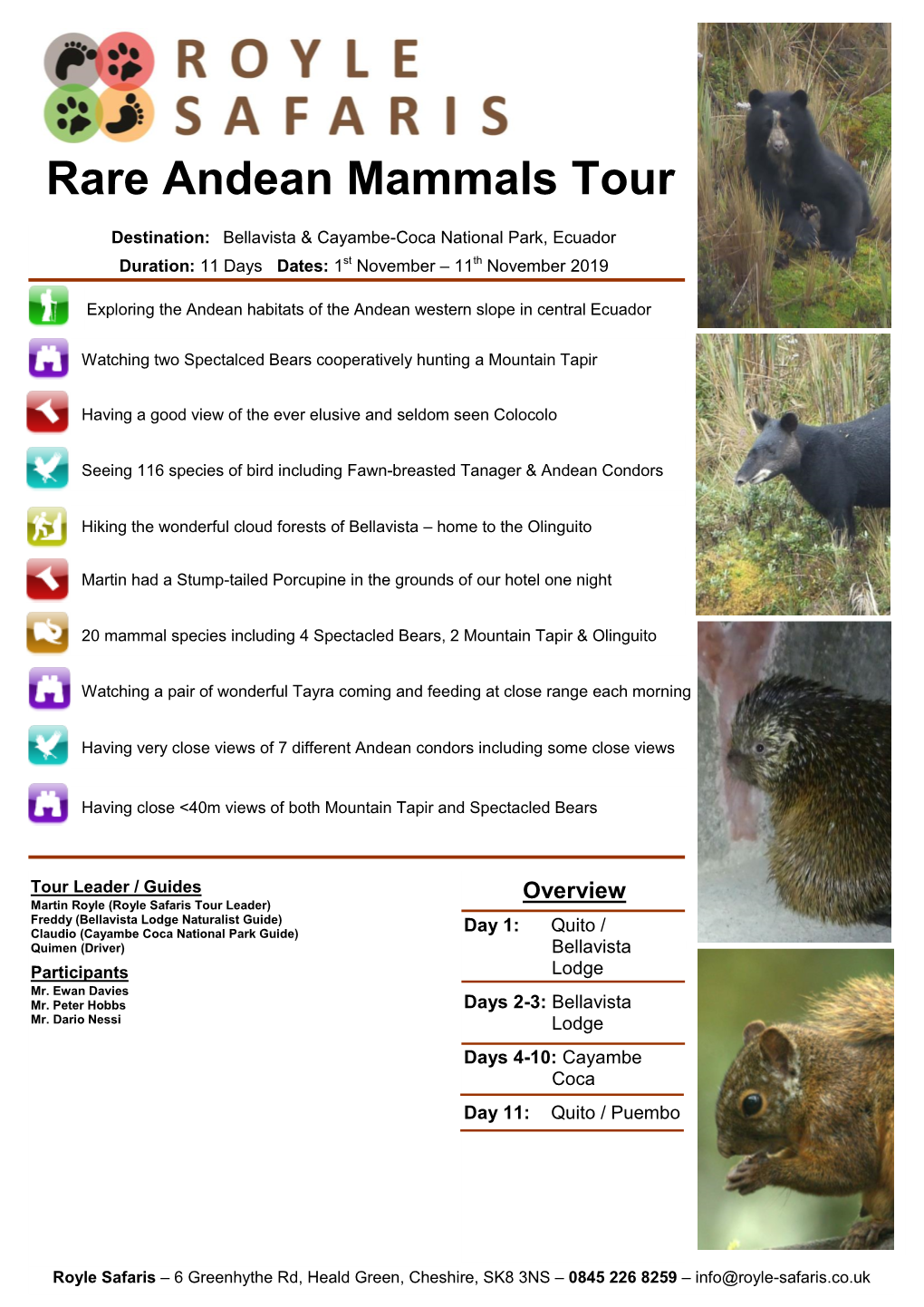 Rare Andean Mammals Tour