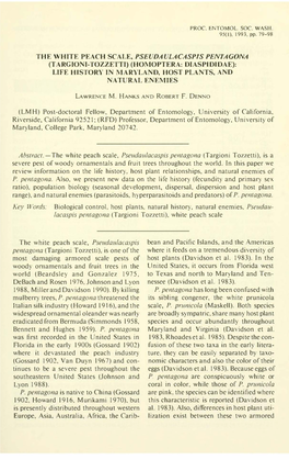 95(1), L993, Pp. 79-98 the WHITE PEACH SCALE