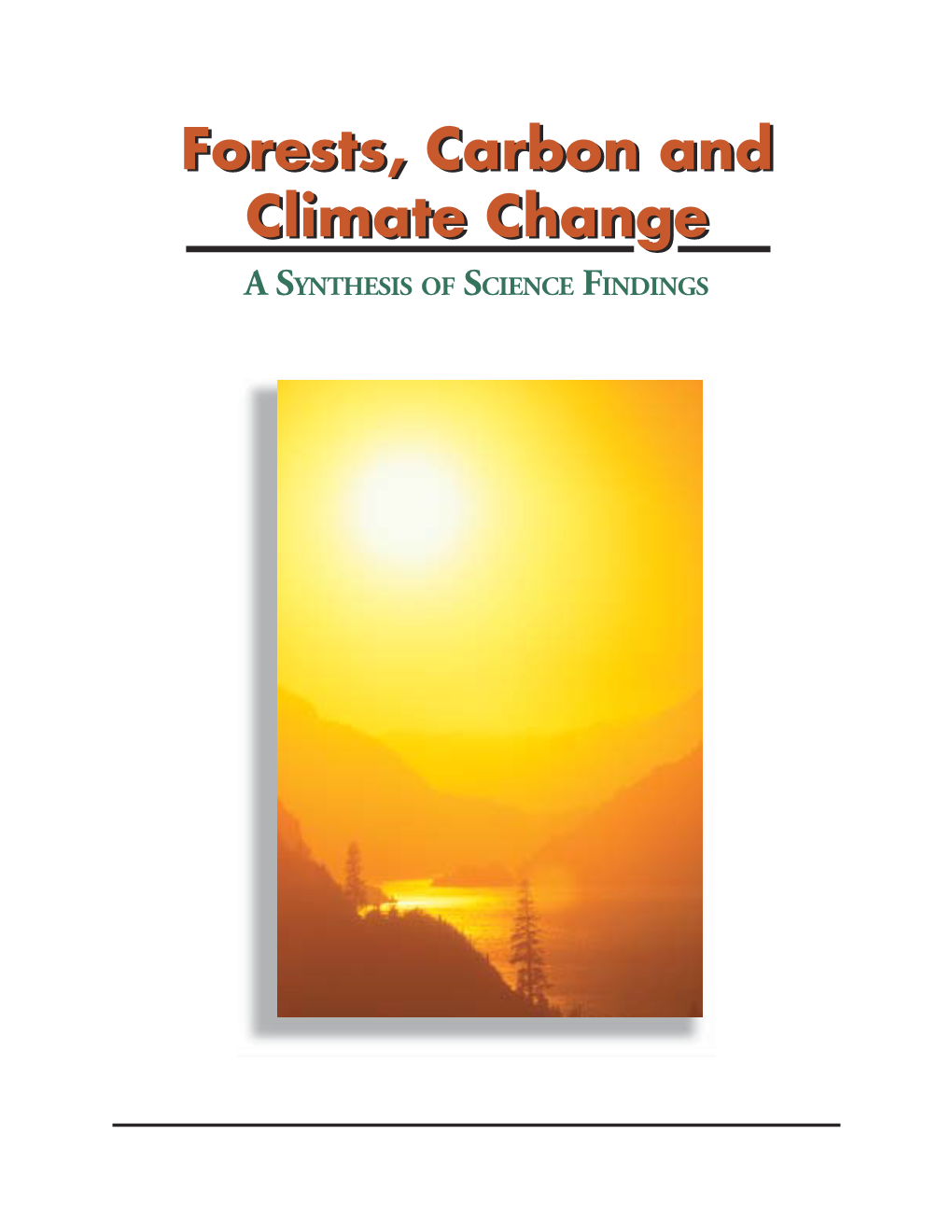 Forests, Carbon, and Climate Change