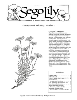 January 2008 Volume 31 Number 1