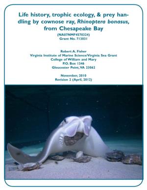 Life History, Trophic Ecology, & Prey Han- Dling by Cownose Ray
