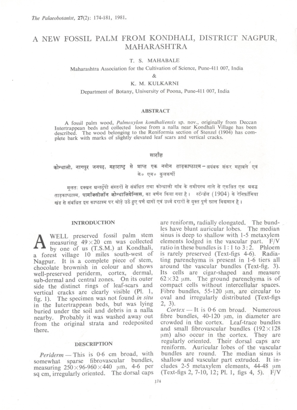 A New Fossil Palm from Kondhali, District Nagpur: Maharashtra