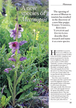 Anew Species of Meconopsis