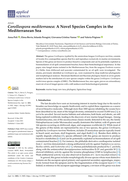 Corollospora Mediterranea: a Novel Species Complex in the Mediterranean Sea