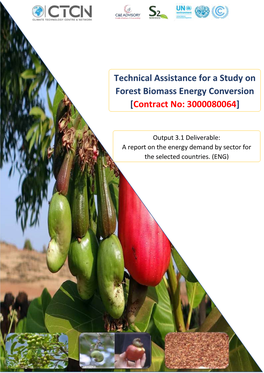 Technical Assistance for a Study on Forest Biomass Energy Conversion [Contract No: 3000080064]
