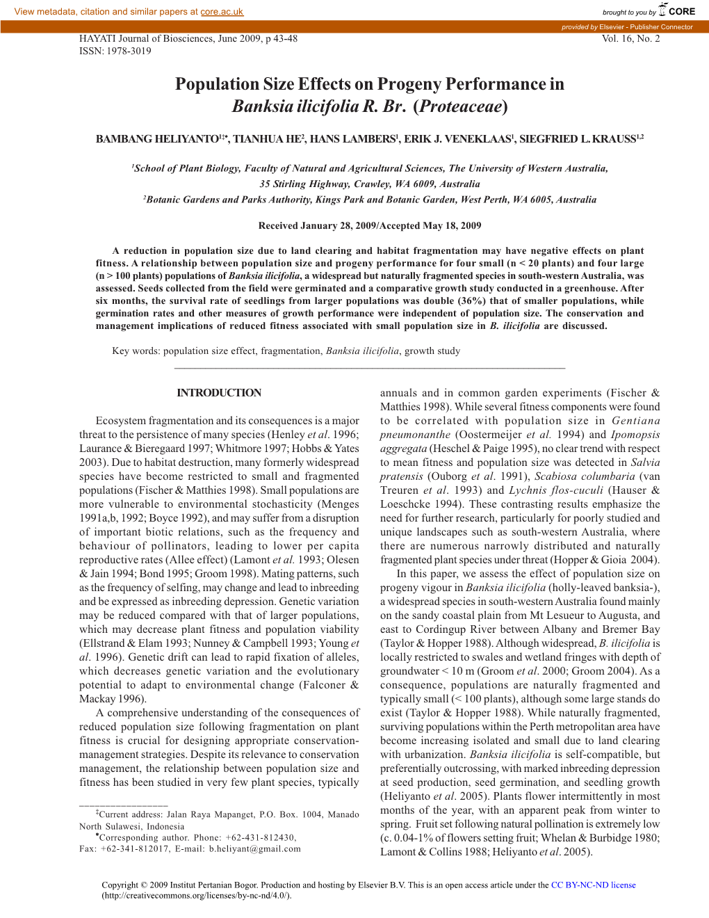 Population Size Effects on Progeny Performance in Banksia Ilicifolia R