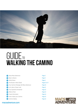 Guide to Walking the CAMINO
