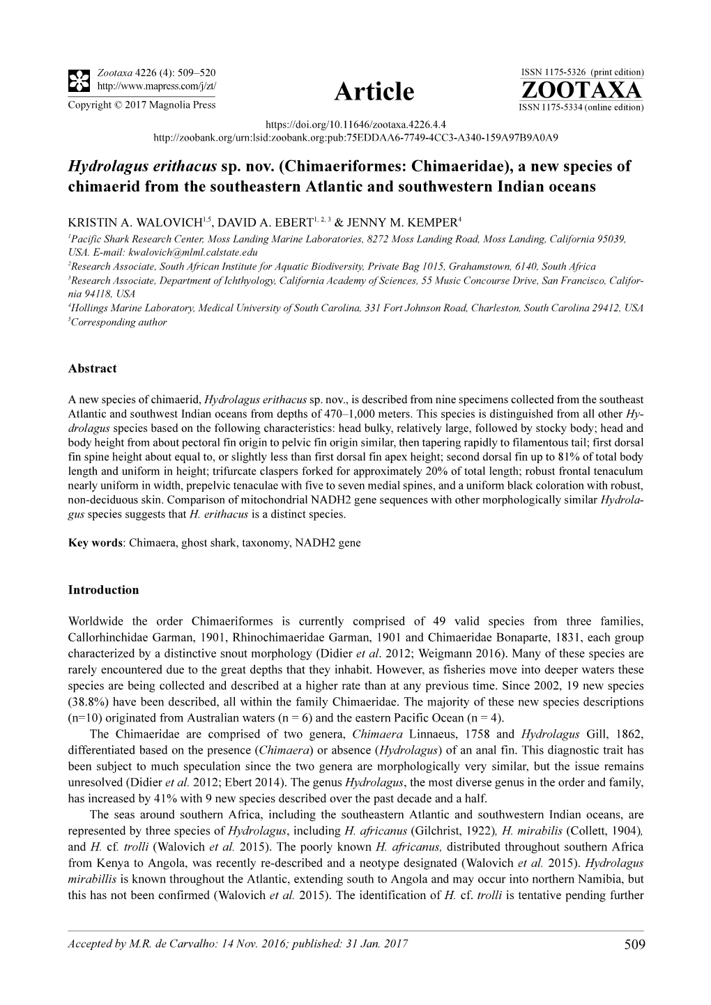 Hydrolagus Erithacus Sp. Nov. (Chimaeriformes: Chimaeridae), a New Species of Chimaerid from the Southeastern Atlantic and Southwestern Indian Oceans