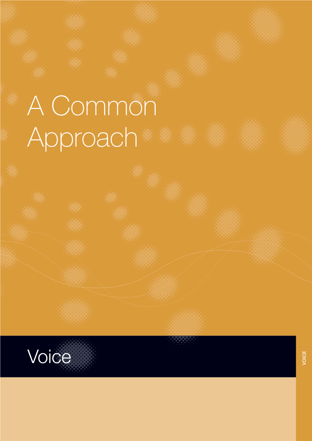 Voice VOICE Contents