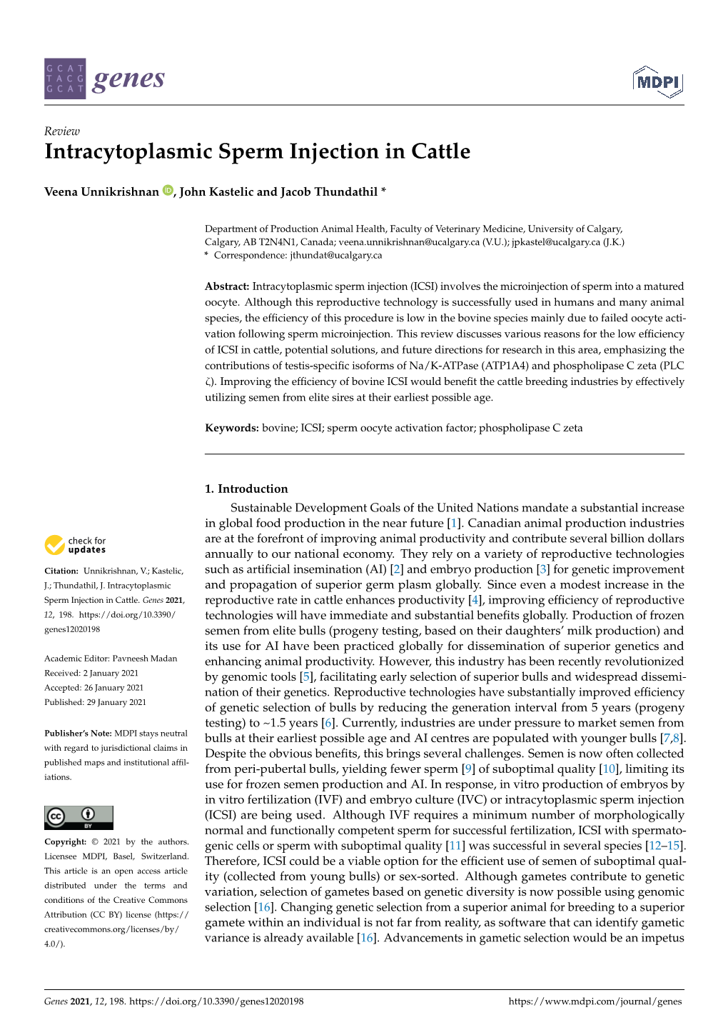 Intracytoplasmic Sperm Injection in Cattle