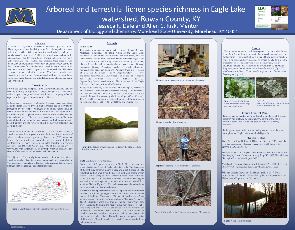 Arboreal and Terrestrial Lichen Species Richness in Eagle Lake Watershed, Rowan County, KY Jesseca R