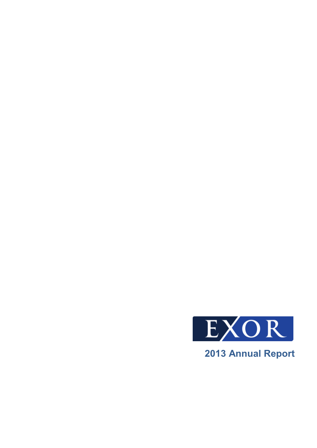 2013 Annual Report