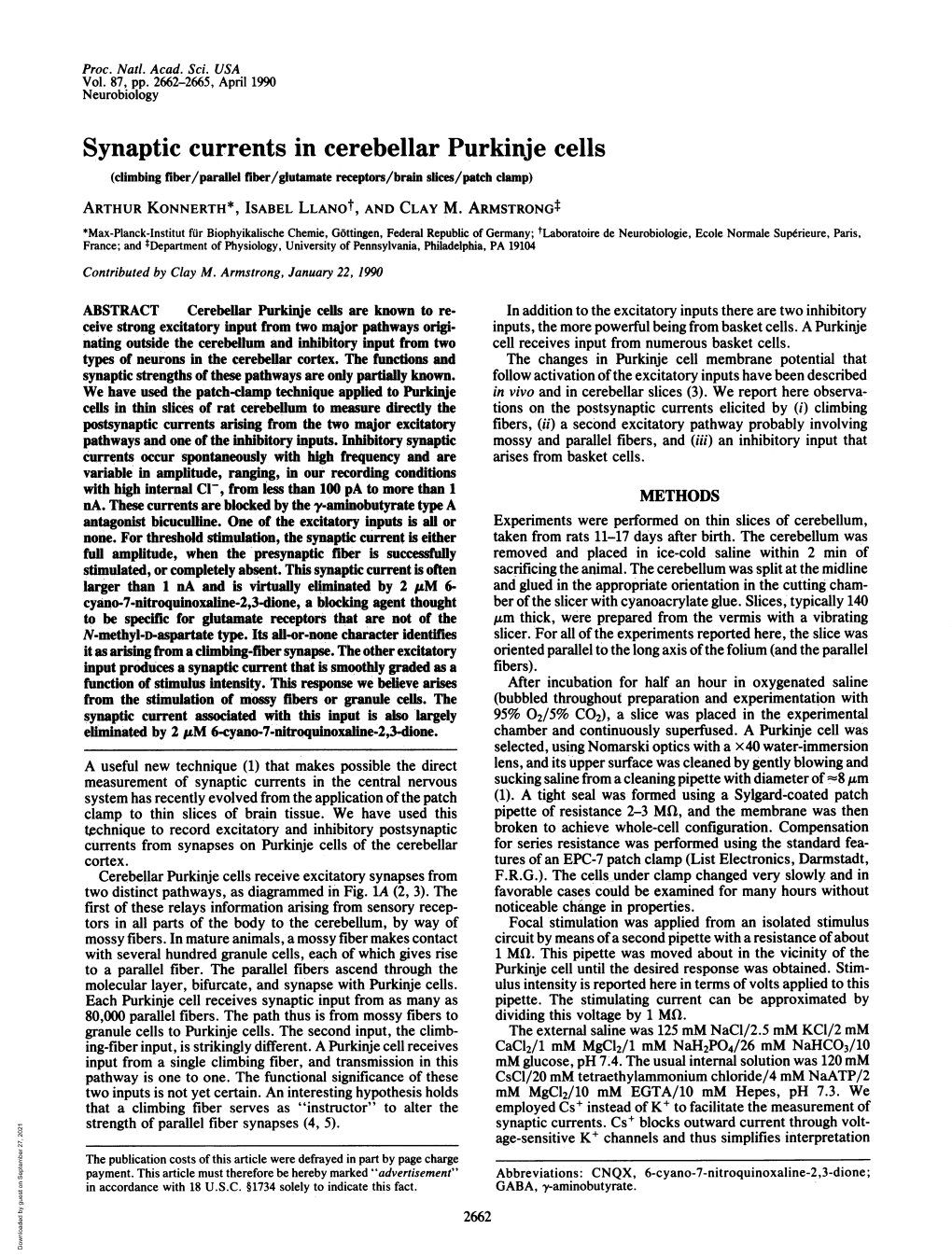 Synaptic Currents in Cerebellar Purkinje Cells