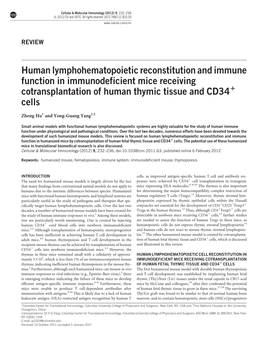 Human Lymphohematopoietic Reconstitution and Immune Function in Immunodeficient Mice Receiving Cotransplantation of Human Thymic Tissue and CD341 Cells