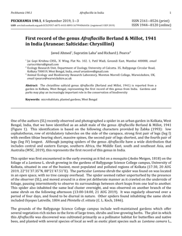 First Record of the Genus Afraflacilla Berland & Millot, 1941 in India