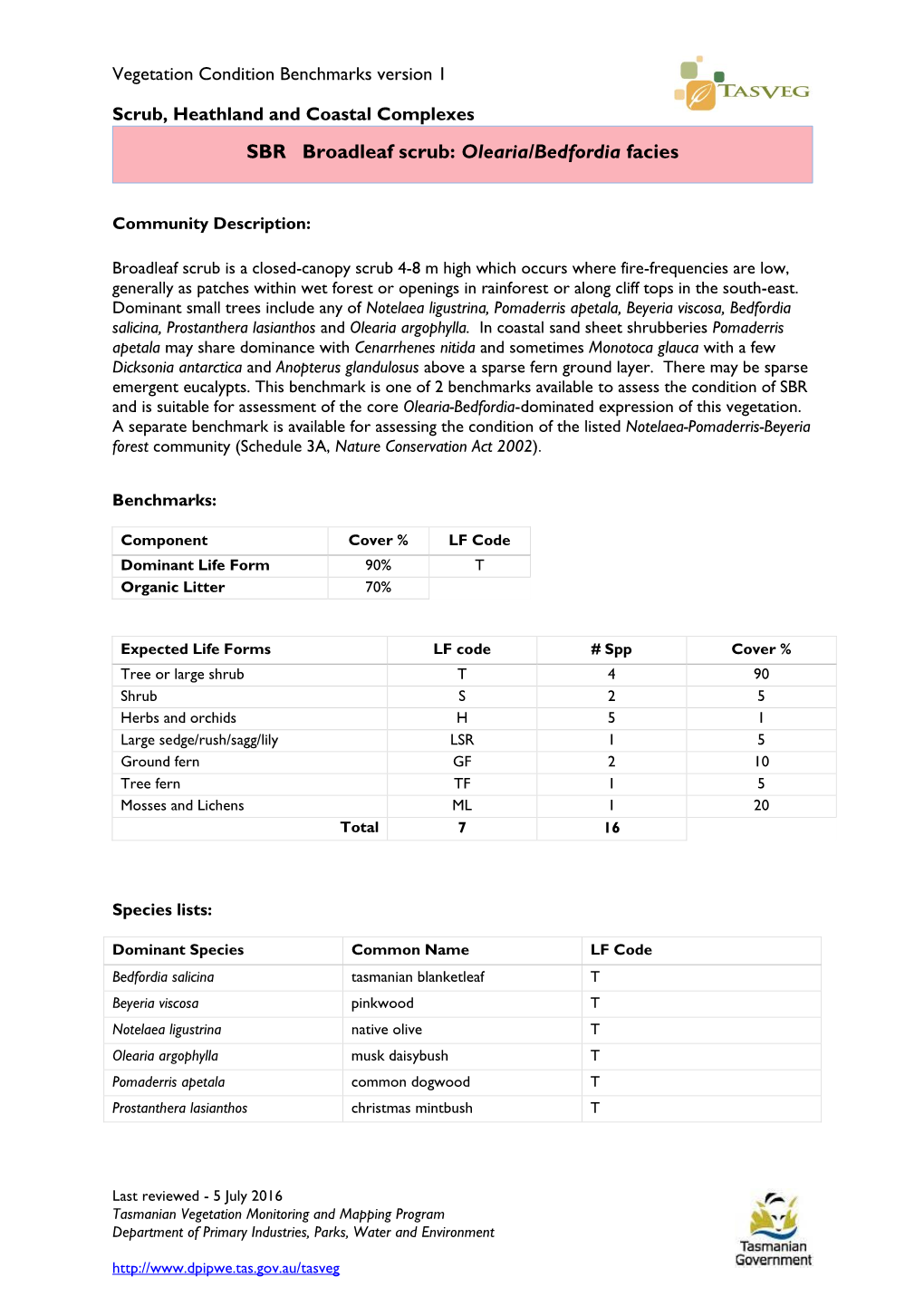 SBR Broadleaf Scrub: Olearia/Bedfordia Facies