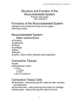 Structure and Function of the Musculoskeletal System Professor Alan Hedge DEA 3250/6510