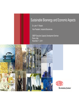 Sustainable Bioenergy and Economic Aspects