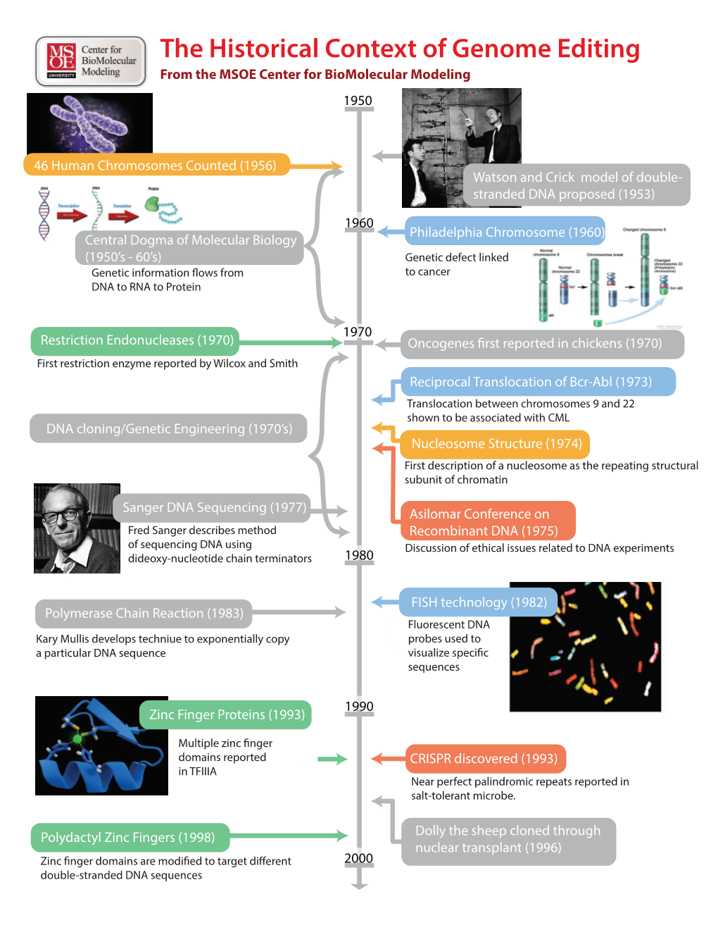 The Historical Context of Genome Editing from the MSOE Center for Biomolecular Modeling 1950
