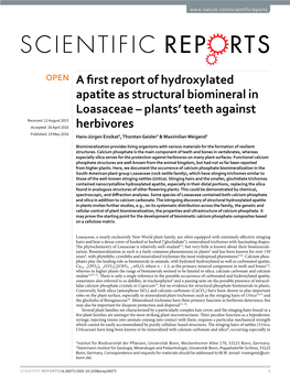 A First Report of Hydroxylated Apatite As Structural Biomineral in Loasaceae