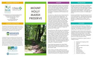 Mount Holly Marsh Preserve