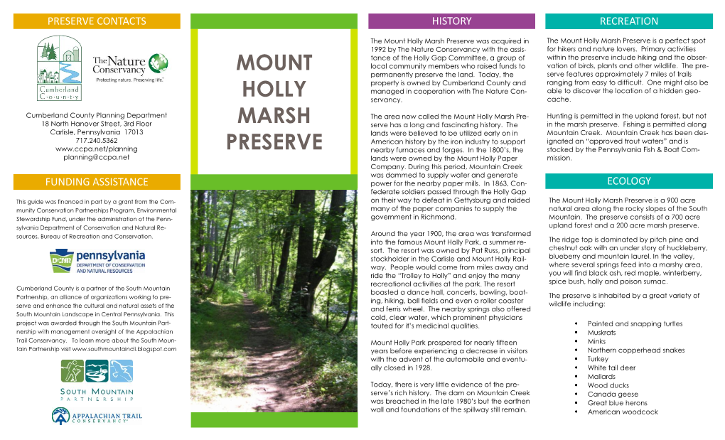 Mount Holly Marsh Preserve