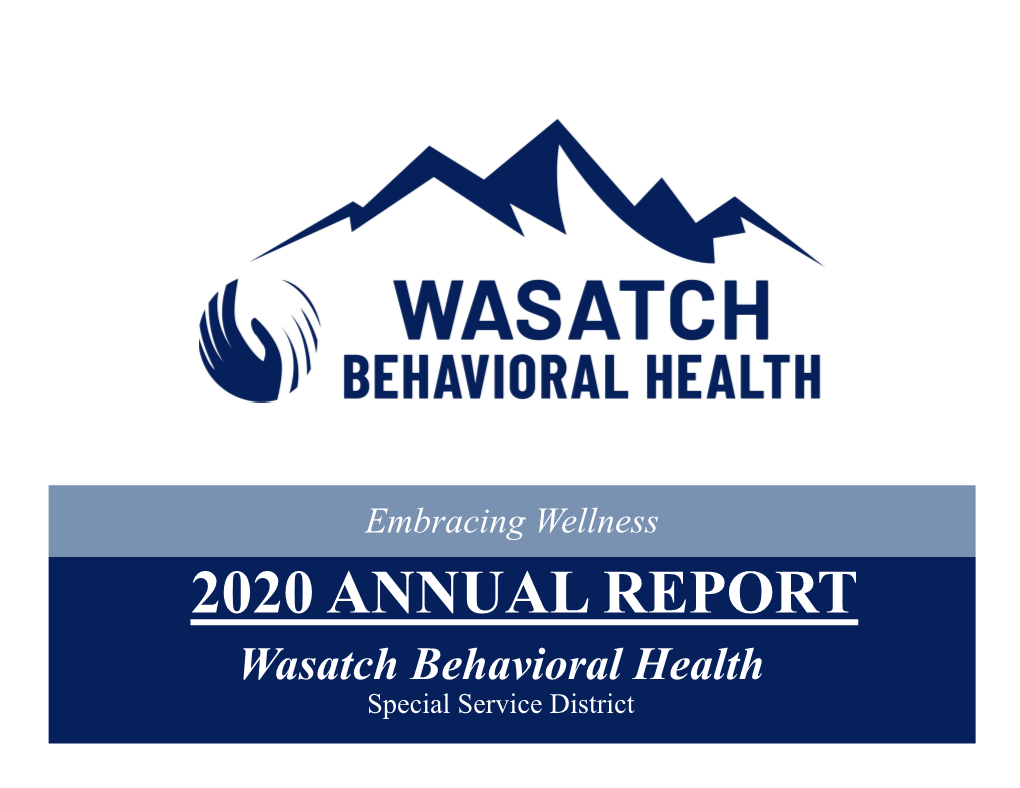 Annual Report 2020