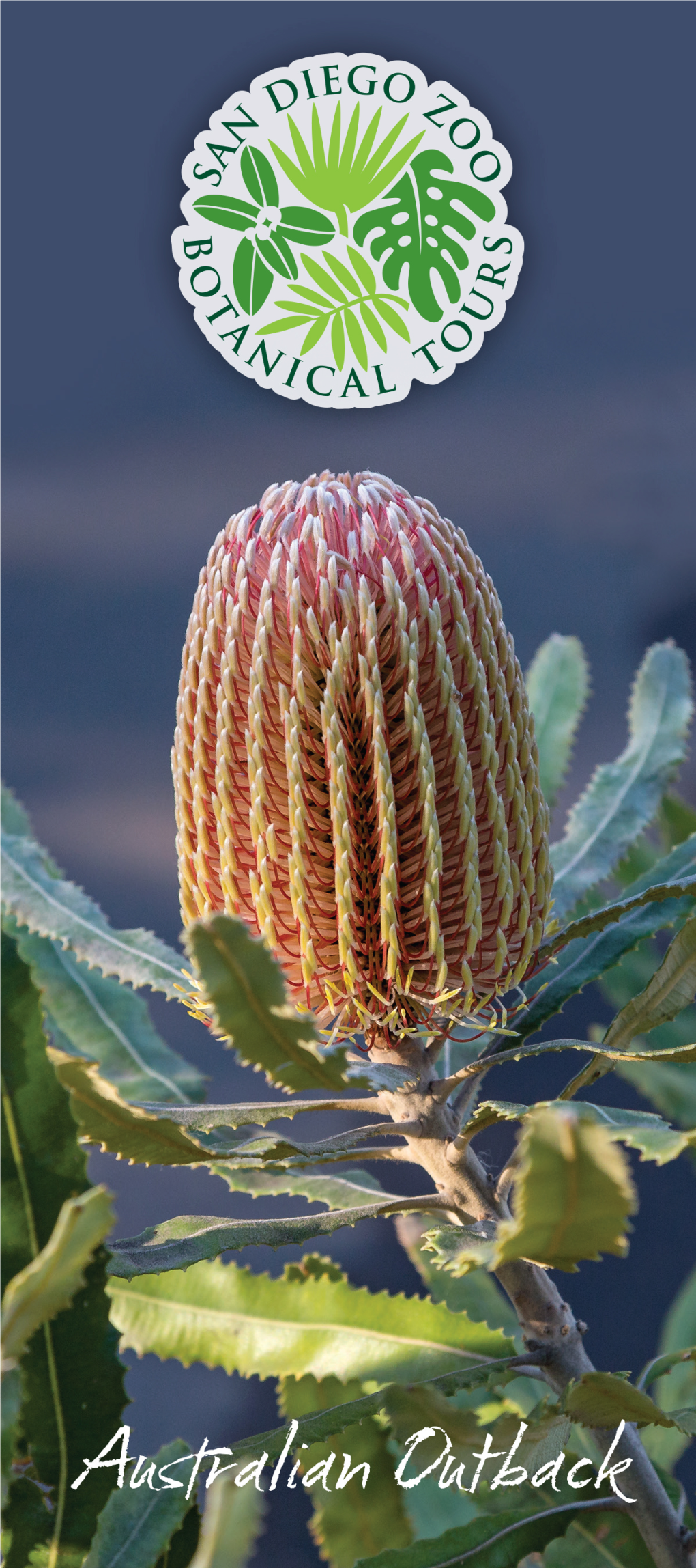Australian Outback Botanical T