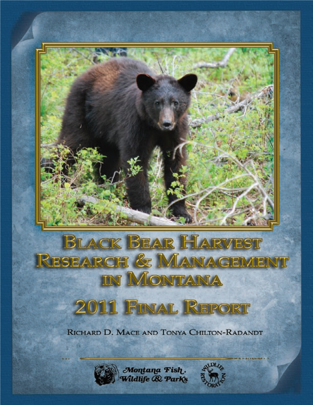 Black Bear Harvest Research and Management in Montana: Final Report