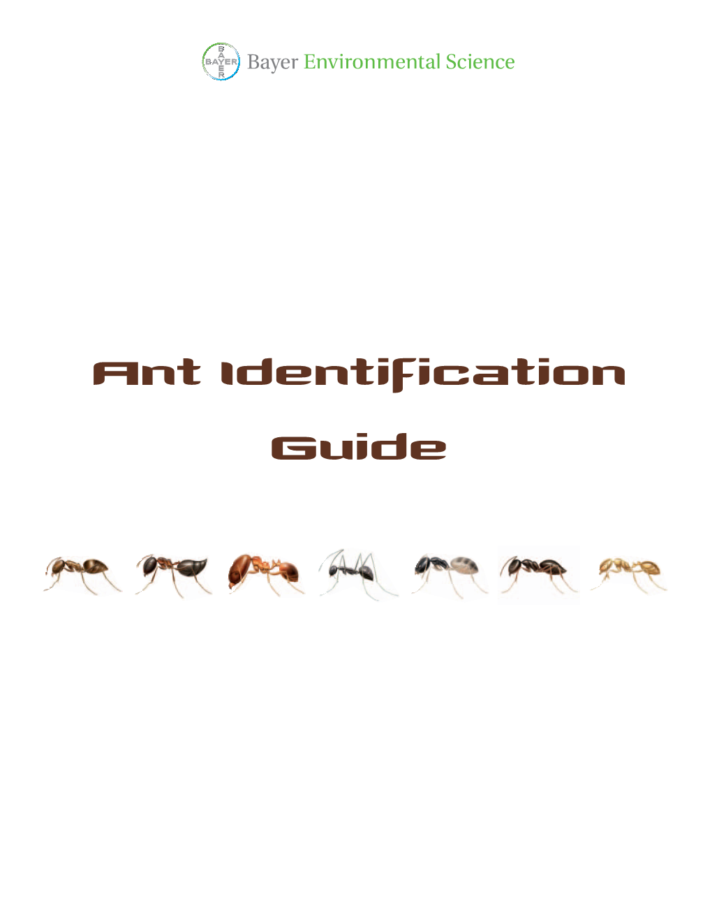 Ant Identification Guide Steps to Successful Ant Elimination