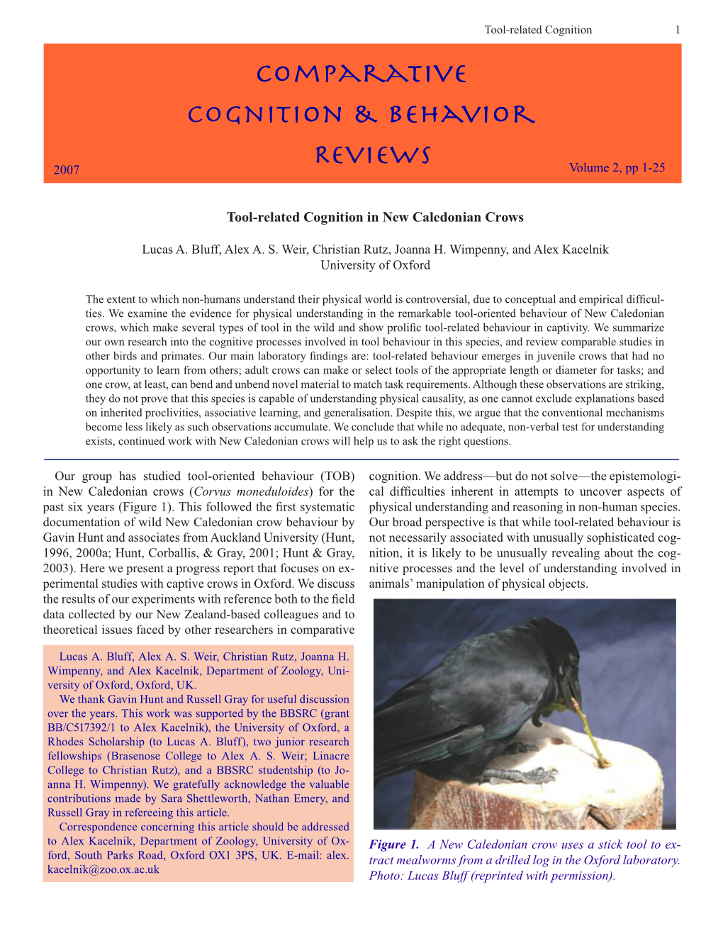 Tool-Related Cognition in New Caledonian Crows