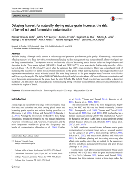 Delaying Harvest for Naturally Drying Maize Grain Increases the Risk of Kernel Rot and Fumonisin Contamination